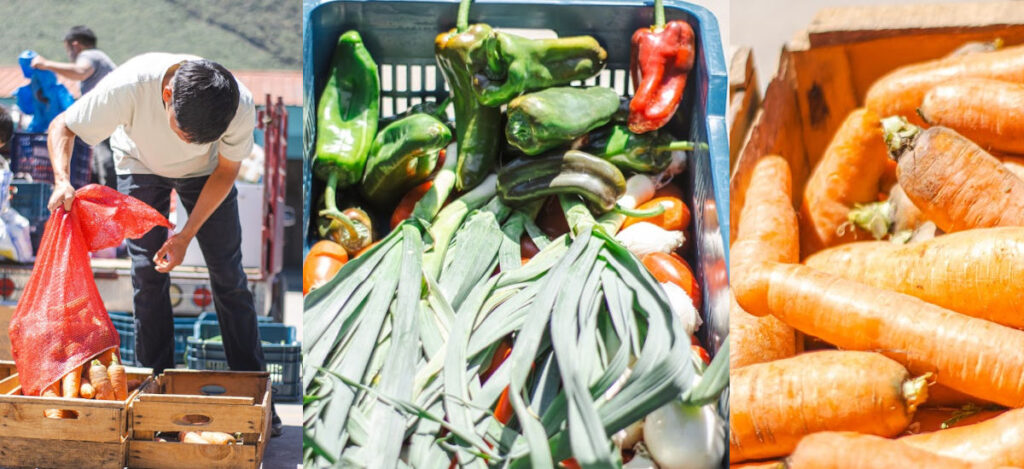 colourful vegetables grown in the Impact Agriculture project